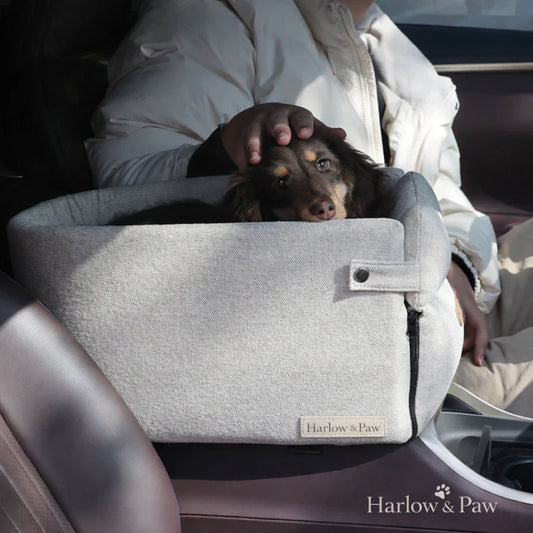 Dog in a car seat cover with 'Harlow & Paw' branding inside a vehicle.