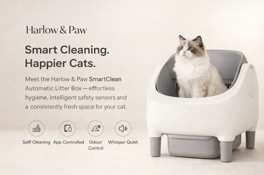 Harlow & Paw SmartClean Automatic Litter Box